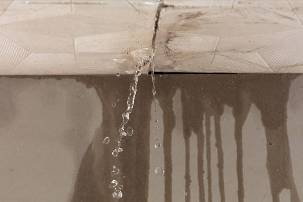 Professional Water Damage Restoration technician working in Pleasant Shade, TN